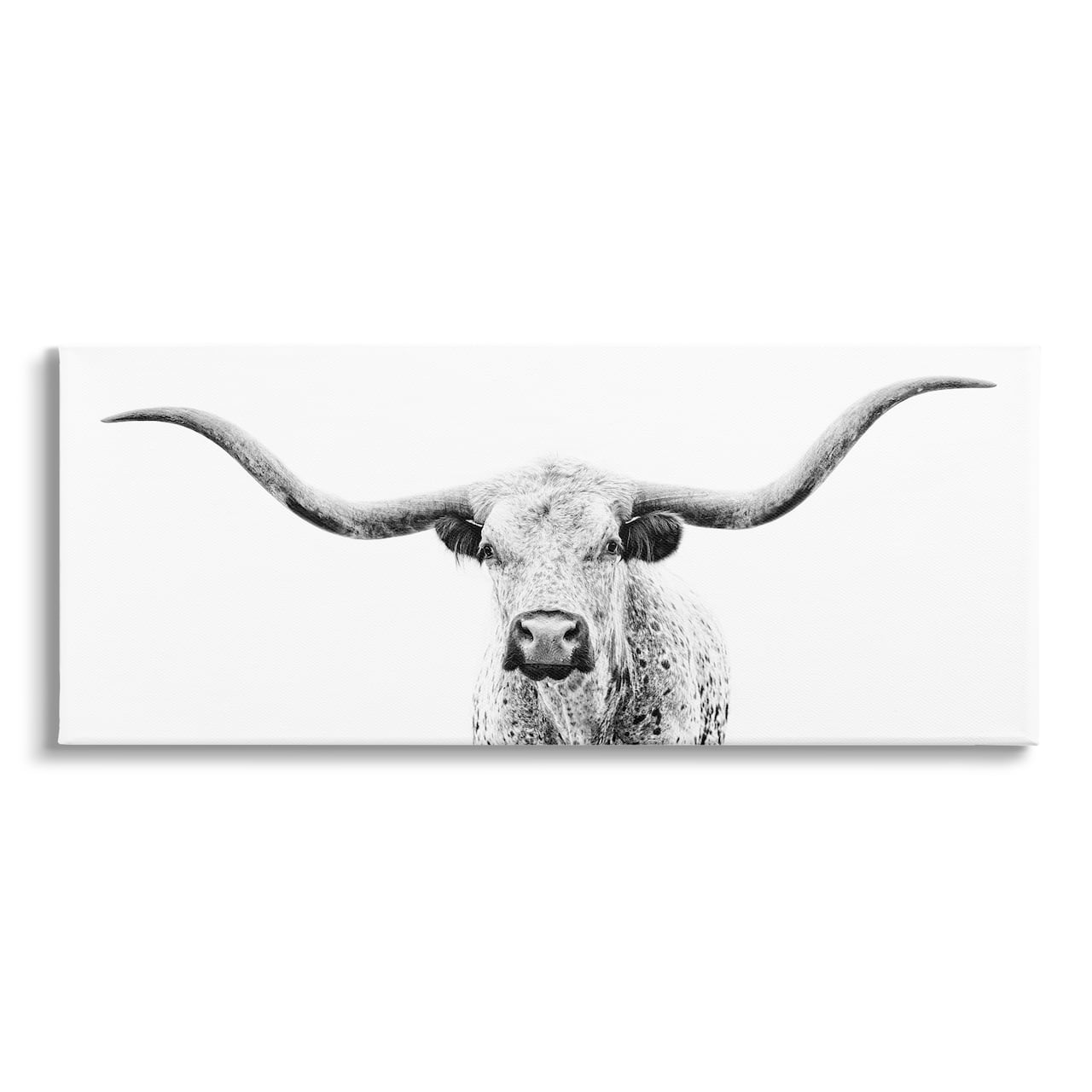 Stupell Industries Longhorn Cattle Gazing Modern Photography Canvas Wall Art
